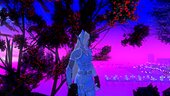 Fortnite Lady Windfrost (Elf)